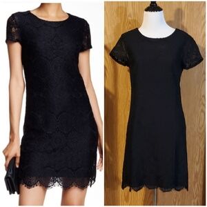 Laundry by Shelli Segal shift dress